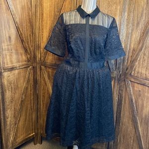Eshakti lace overlay dress with mesh shoulder and sleeve insets.  Size 16.